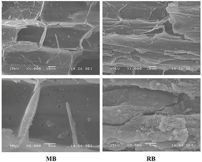 Effects of biochar addition on nitrous oxide emission during soil freeze–thaw cycles